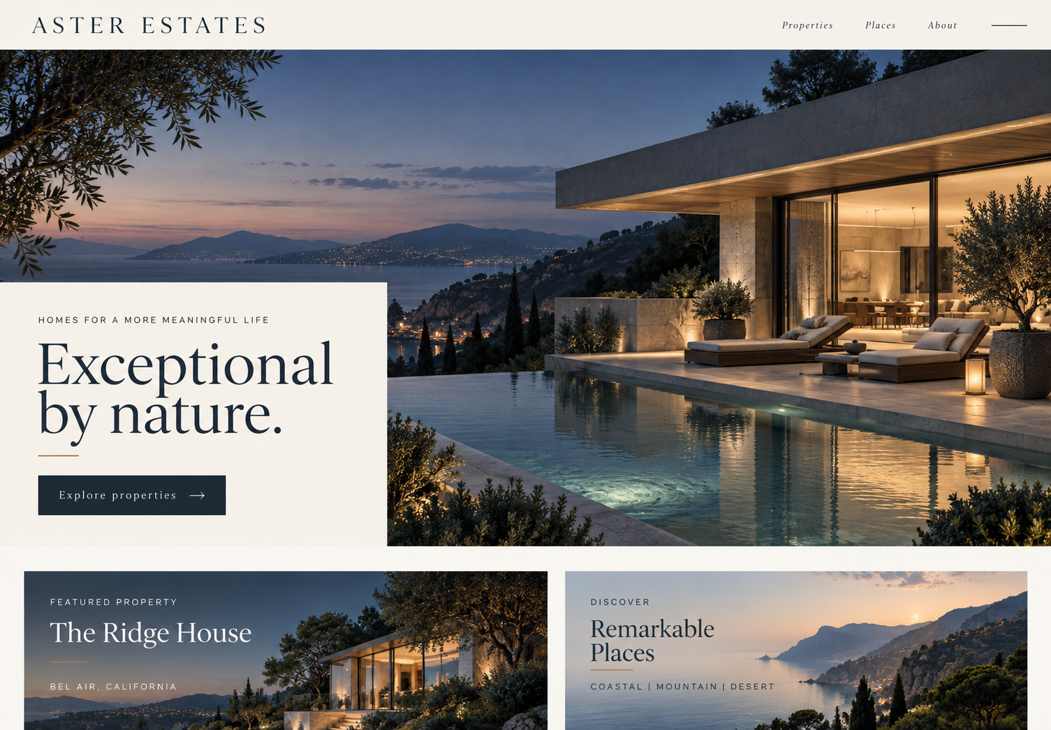 Aster Estates fictional luxury website concept